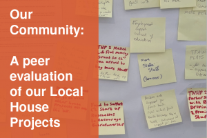 CLNM Peer Evaluation